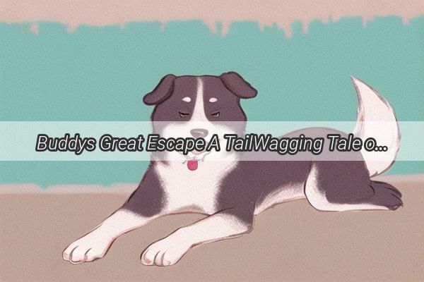 Buddys Great Escape A TailWagging Tale of a Dogs First Adventure in a New Home